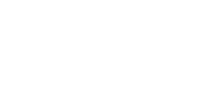 https://freightpioneer.com/wp-content/uploads/2025/03/mape.png
